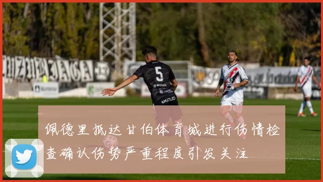 佩德里抵达甘伯体育城进行伤情检查确认伤势严重程度引发关注
